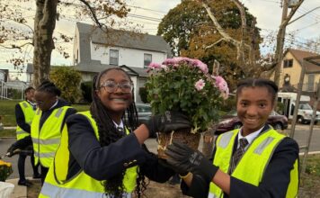From Creativity to Community Change
