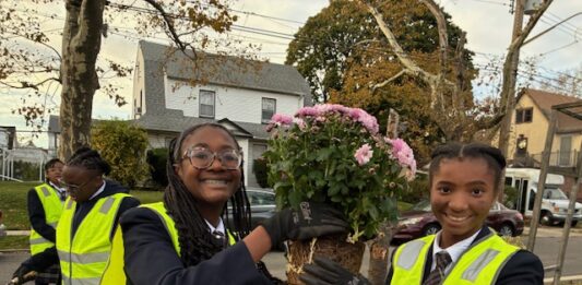 From Creativity to Community Change