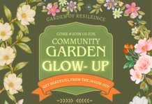 The love that keeps on giving!: Ecosystems