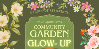 The love that keeps on giving!: Ecosystems